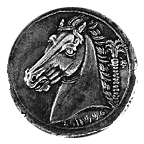 horse-headed coin