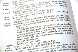 <i>El Vocabulari fenici</i> by Maria Josep Estanyol is the only dictionary of Phoenician in the world.
